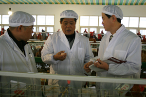 20081223144220753